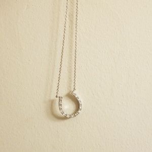 Horse  shoe necklace